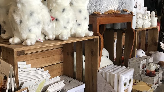 An Evening Of Wonder