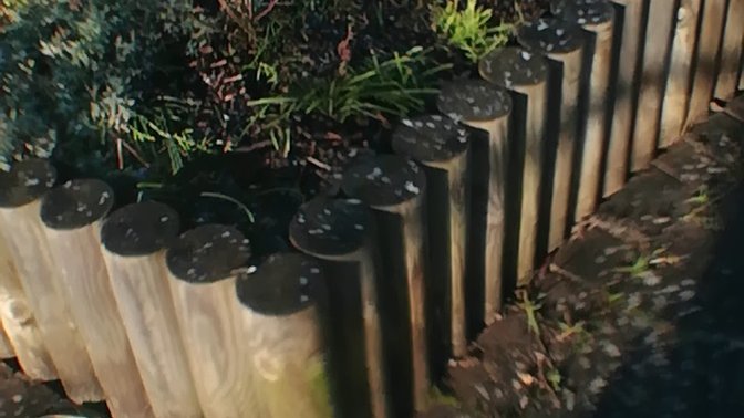 Barracks Lane Community Garden