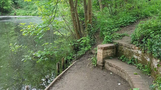 CS Lewis Community Nature Reserve