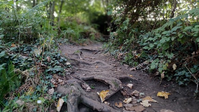 CS Lewis Community Nature Reserve