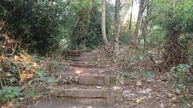 CS Lewis Community Nature Reserve