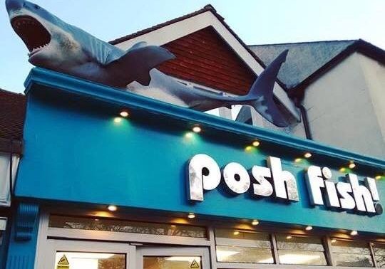 Posh Fish