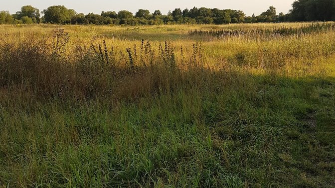 Donnington Playing Field