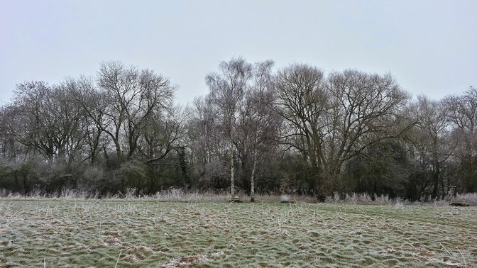 Hogacre Common Eco Park