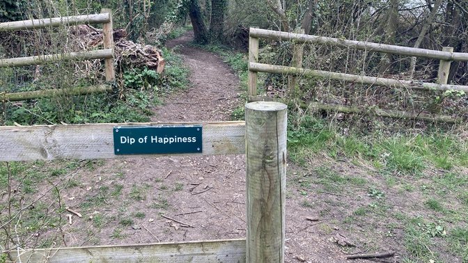 Dip of Happiness
