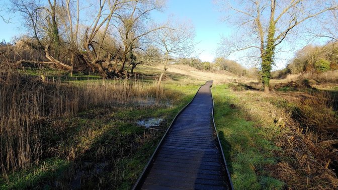 Peat Moors