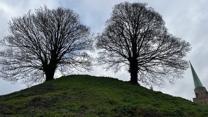 Vaulted Well Chamber