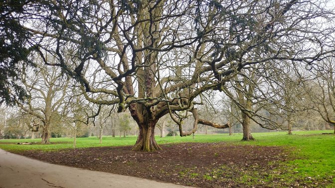 Headington Hill Park