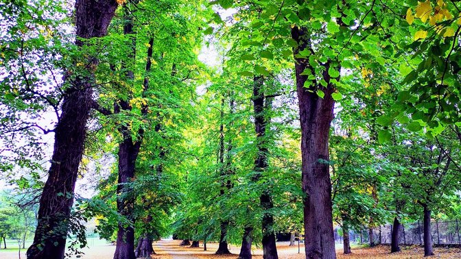 Headington Hill Park