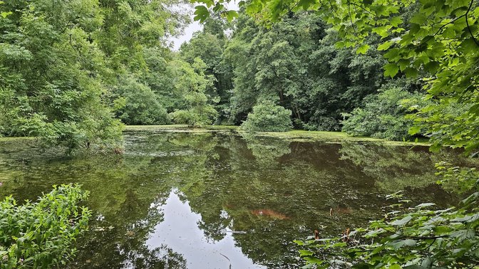 CS Lewis Nature Reserve