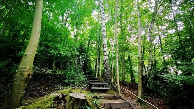 CS Lewis Nature Reserve
