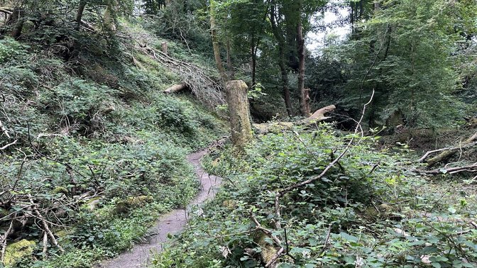 CS Lewis Nature Reserve