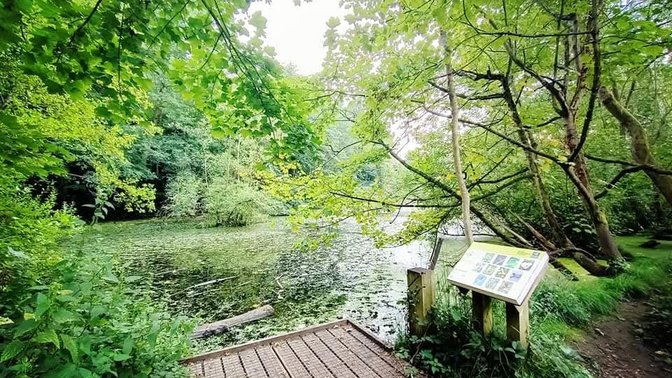 CS Lewis Nature Reserve