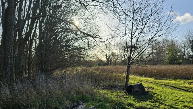 Aston's Eyot
