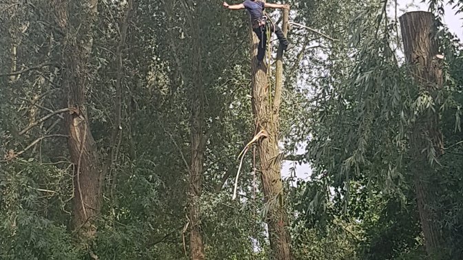 Oxford Tree Surgeons Ltd