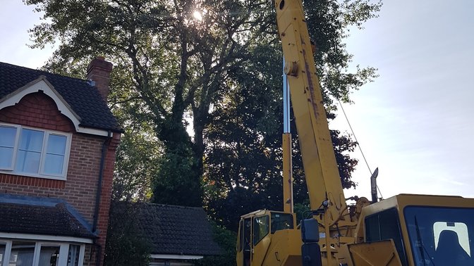 Oxford Tree Surgeons Ltd
