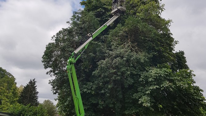 Oxford Tree Surgeons Ltd