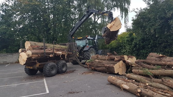 Oxford Tree Surgeons Ltd