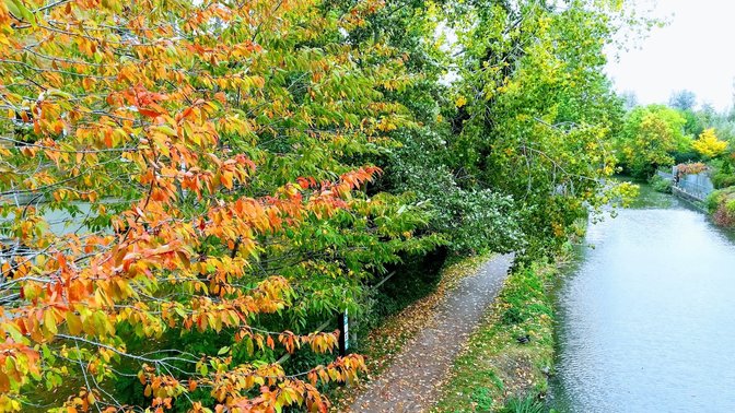 Waterways Green