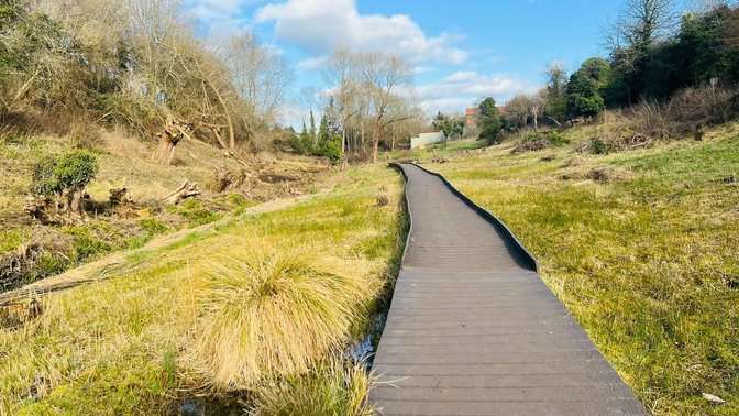 Lye Valley Nature Reserve