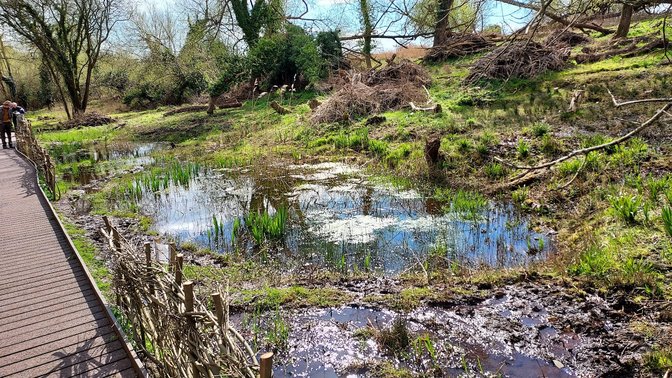 Lye Valley Nature Reserve