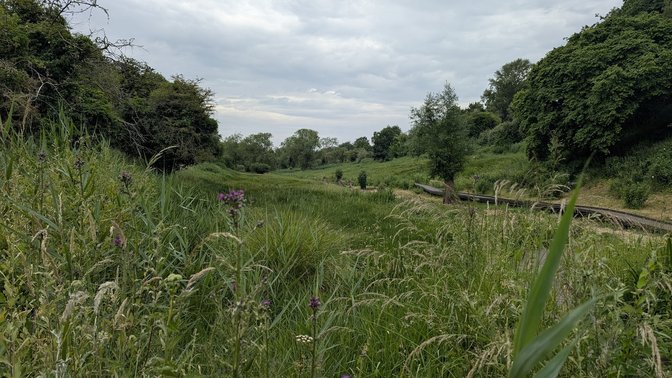Lye Valley Nature Reserve
