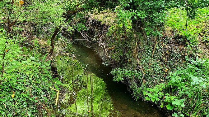 Lye Valley Nature Reserve