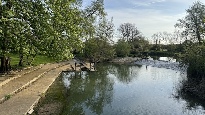 Music Meadow