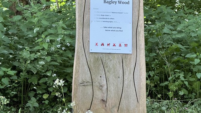 Bagley Wood