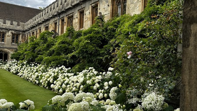Magdalen Tower