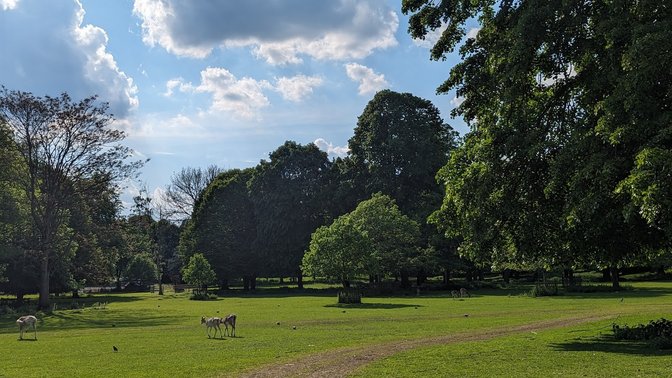 The Grove