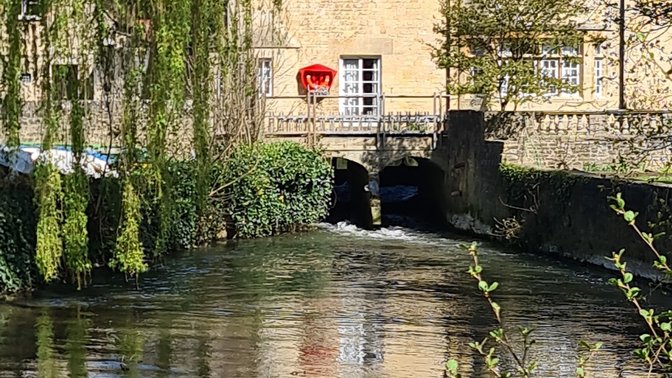 The Grove