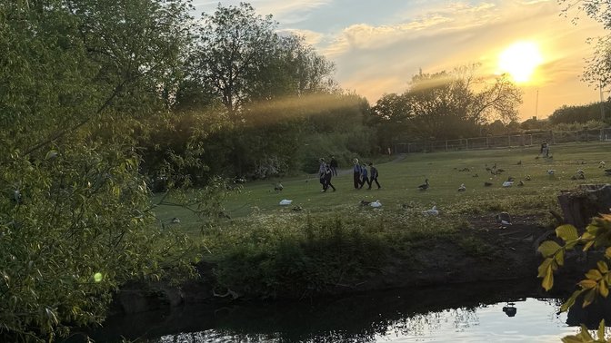 Oxpens Meadow