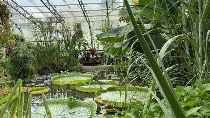 Oxford Botanic Garden and Arboretum