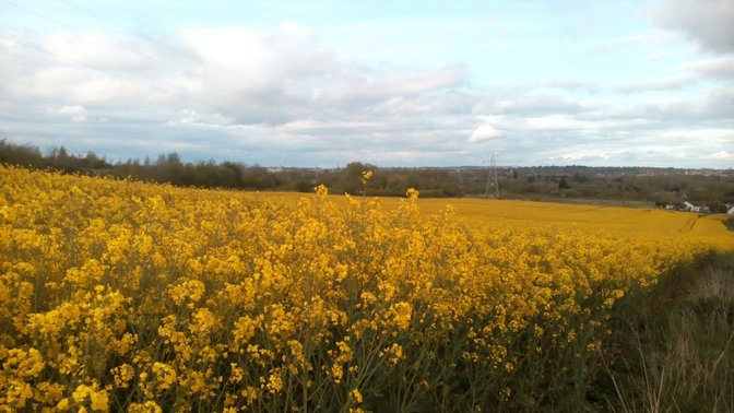 Chilswell Valley