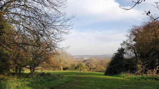 Raleigh Park