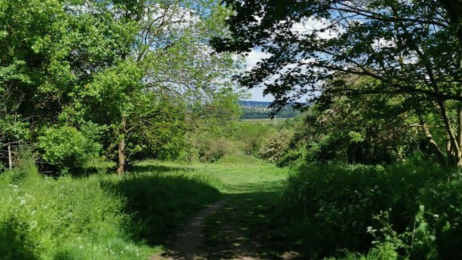 Raleigh Park