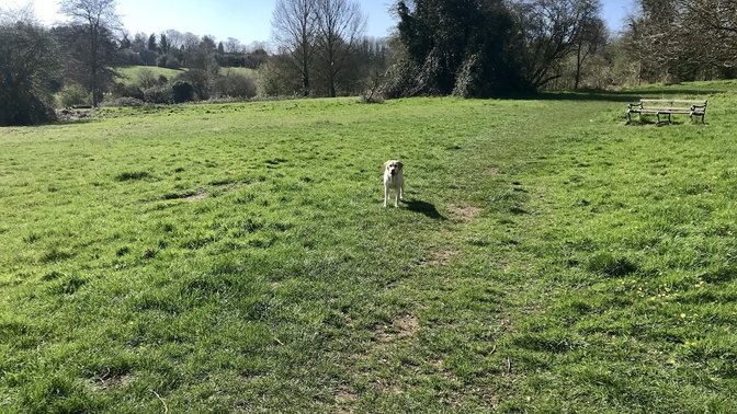 Raleigh Park