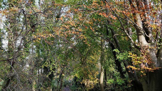Raleigh Park