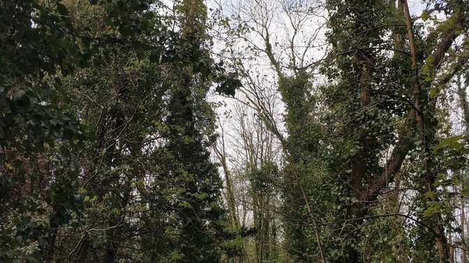 Rivermead Nature Park