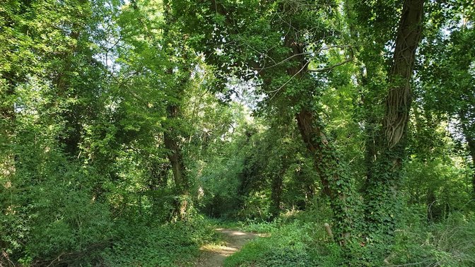 Rivermead Nature Park