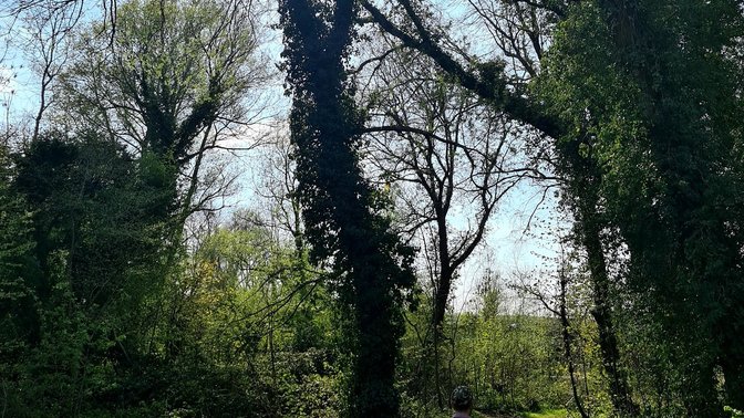 Rivermead Nature Park