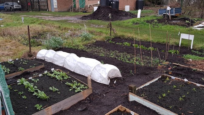 East Ward Allotments