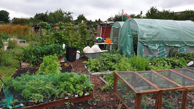 East Ward Allotments
