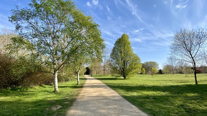 The University Parks