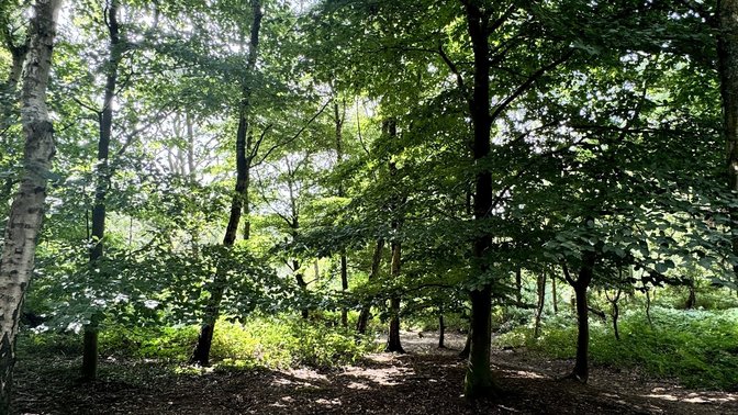 Shotover Country Park