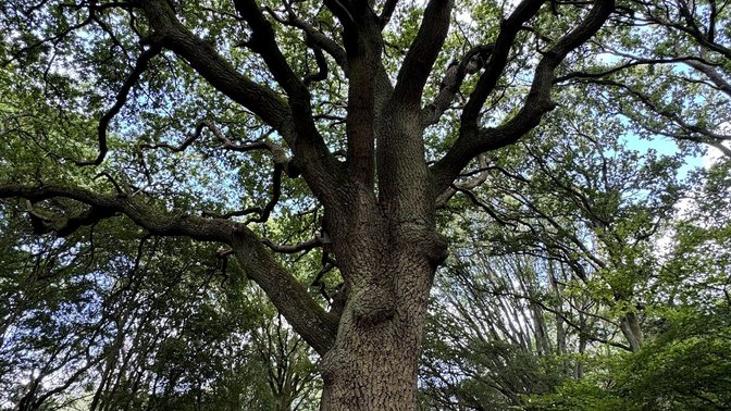 Shotover Country Park