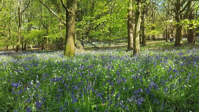 Shotover Country Park