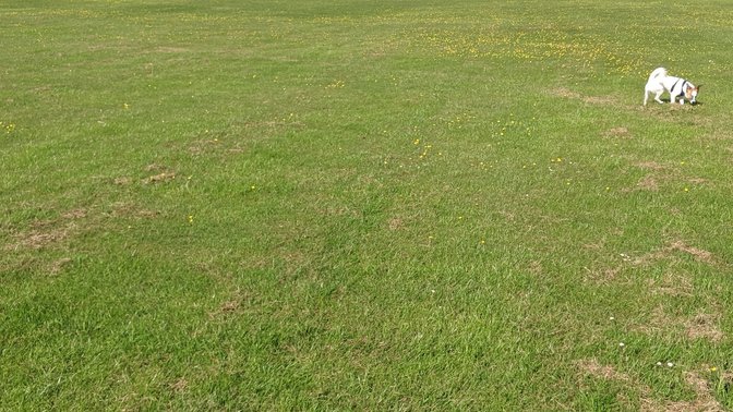Cowley Marsh Park