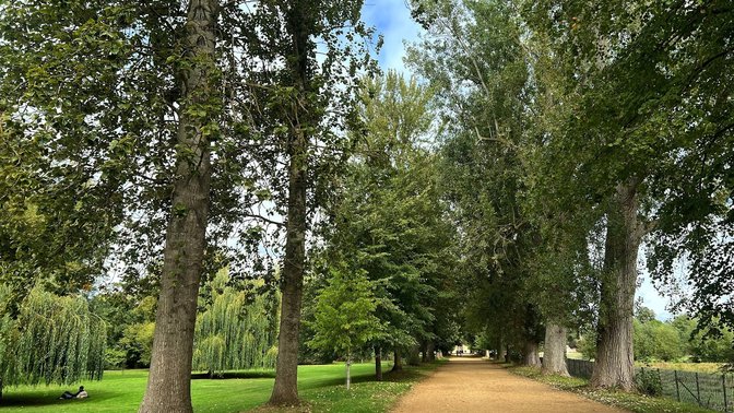 Poplar Walk